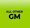 ALL OTHER GM
