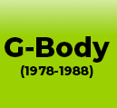 G-BODY (1978-1988)